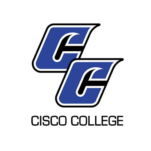 Standardized-Logos-Cisco_College